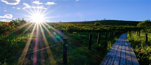 �������ł���